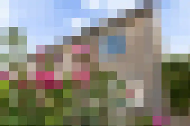 Geerpolderweg 14 Gouda thumbnail 38