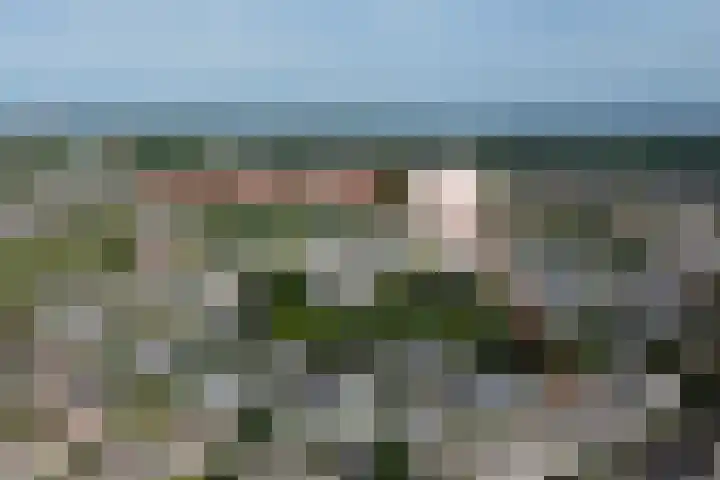 Geerpolderweg 14 Gouda thumbnail 4