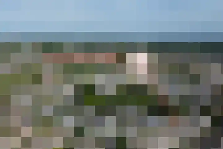 Geerpolderweg 14 Gouda thumbnail 42