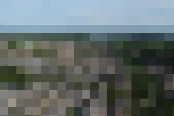 Geerpolderweg 14 Gouda thumbnail 46