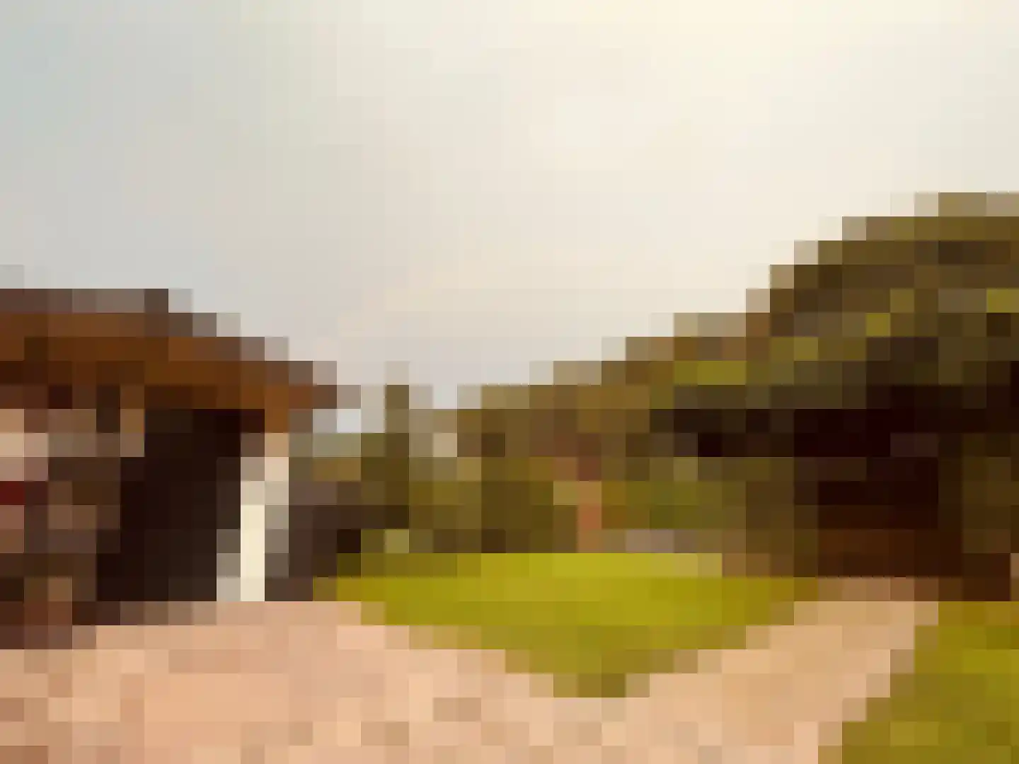 Geersbroekseweg 3 A7 Ulvenhout thumbnail 17