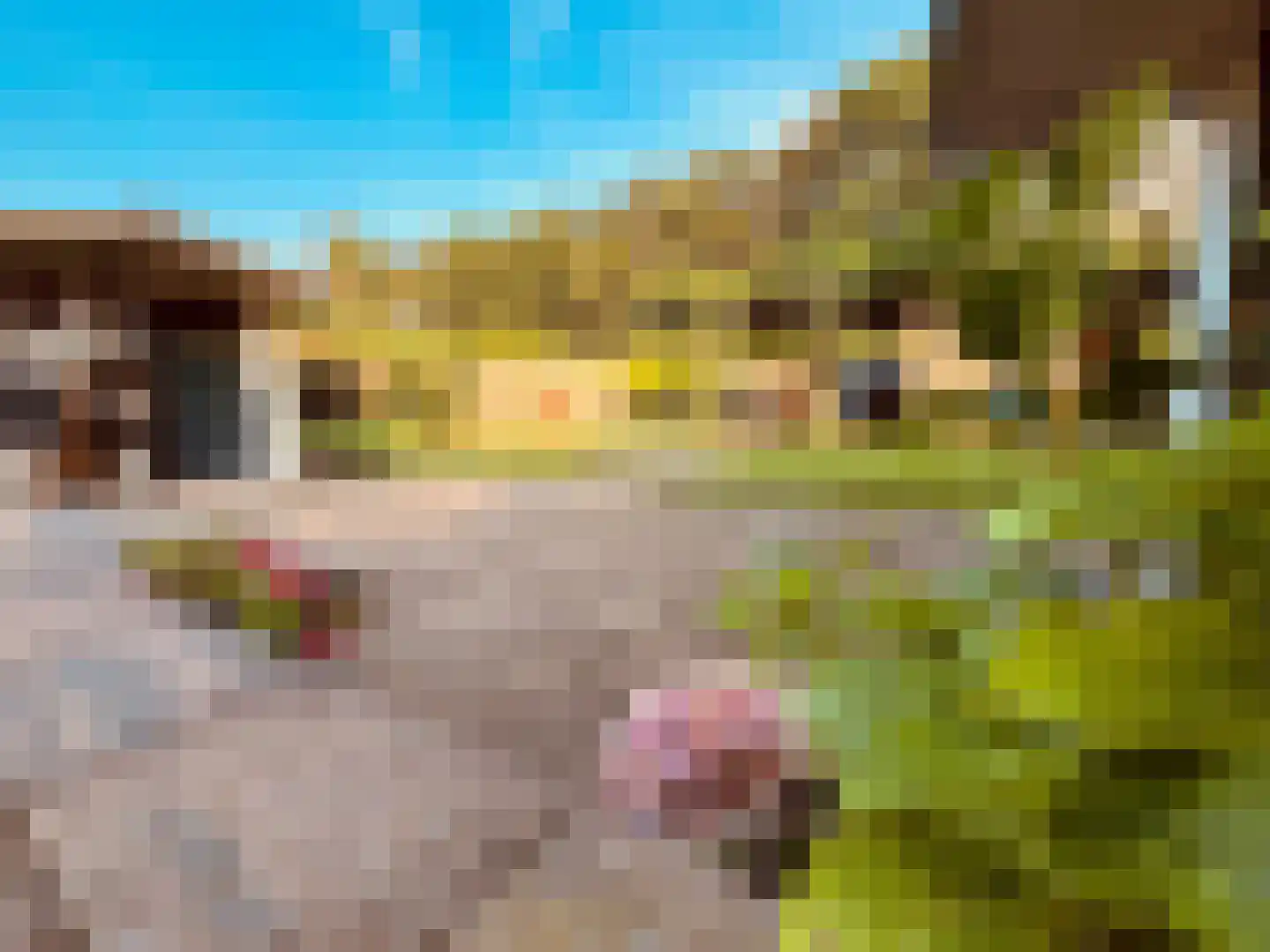 Geersbroekseweg 3 A7 Ulvenhout thumbnail 18