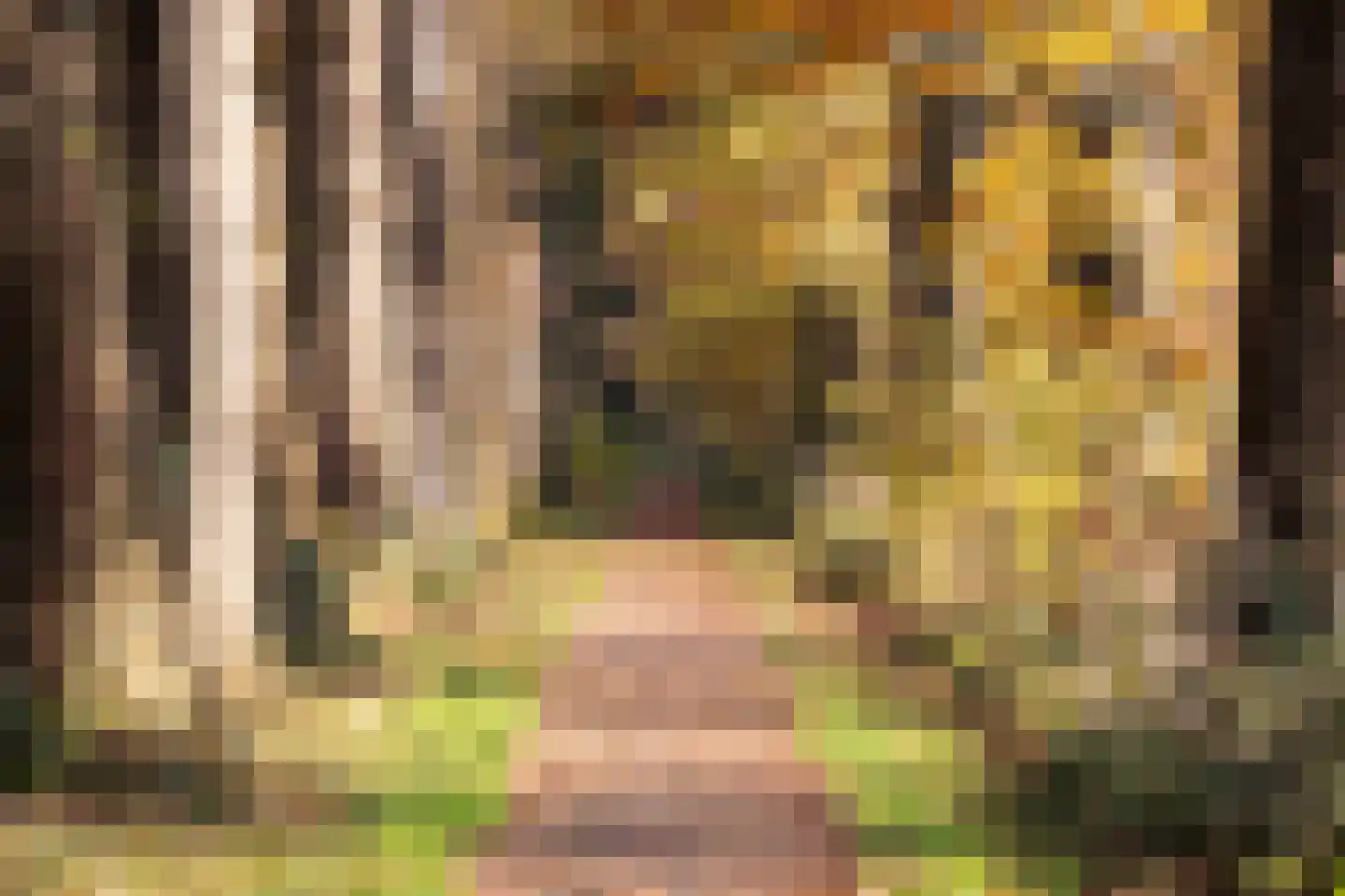 Geersbroekseweg 3 A7 Ulvenhout thumbnail 33