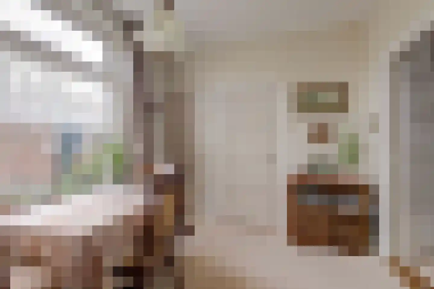 Geersdijkseweg 8 Geersdijk thumbnail 13