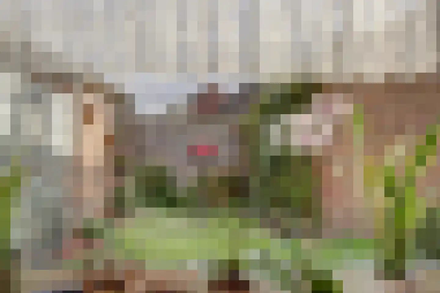 Geersdijkseweg 8 Geersdijk thumbnail 18