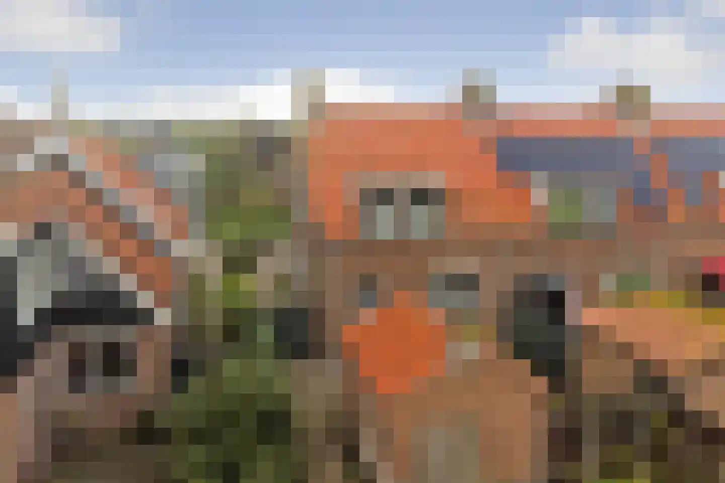 Geersdijkseweg 8 Geersdijk thumbnail 34