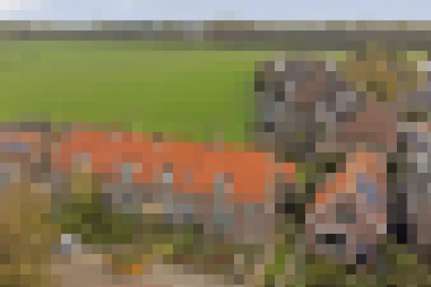 Geersdijkseweg 8 Geersdijk thumbnail 36