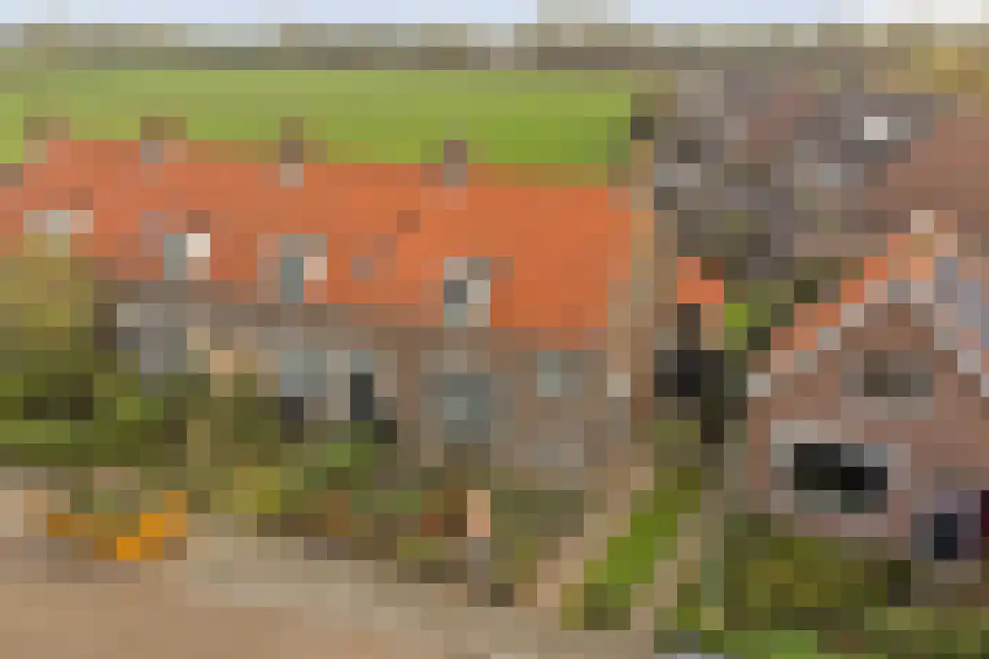 Geersdijkseweg 8 Geersdijk thumbnail 37