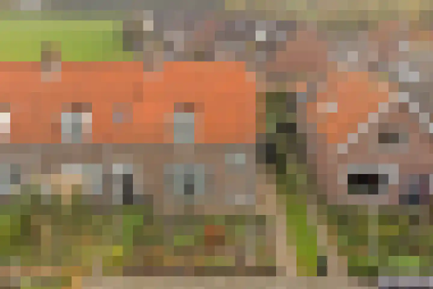 Geersdijkseweg 8 Geersdijk thumbnail 38