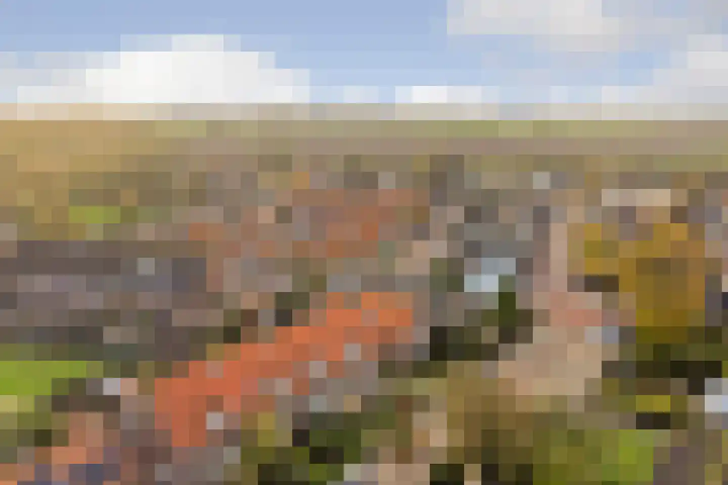 Geersdijkseweg 8 Geersdijk thumbnail 39