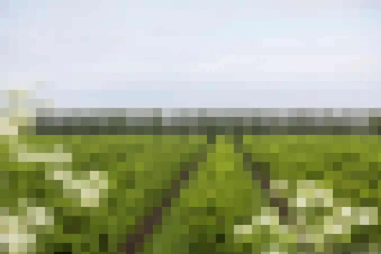 Geersdijkseweg 8 Geersdijk thumbnail 40