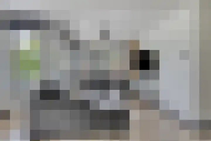 Geersstraat 52 Purmerend thumbnail 8