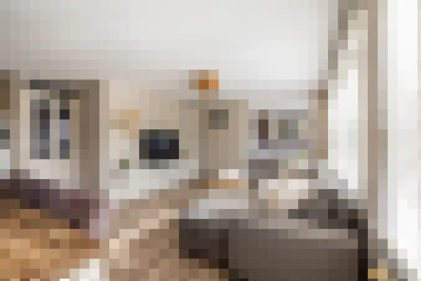Geersstraat 53 Purmerend thumbnail 17