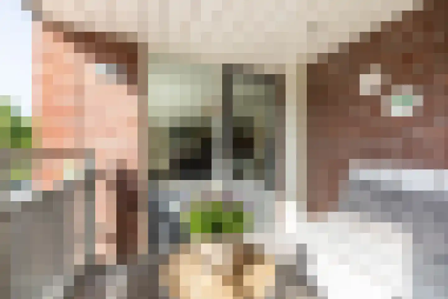 Geersstraat 53 Purmerend thumbnail 30