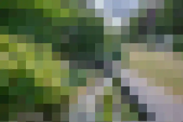 Geerstraat 1 Boven-Leeuwen thumbnail 100
