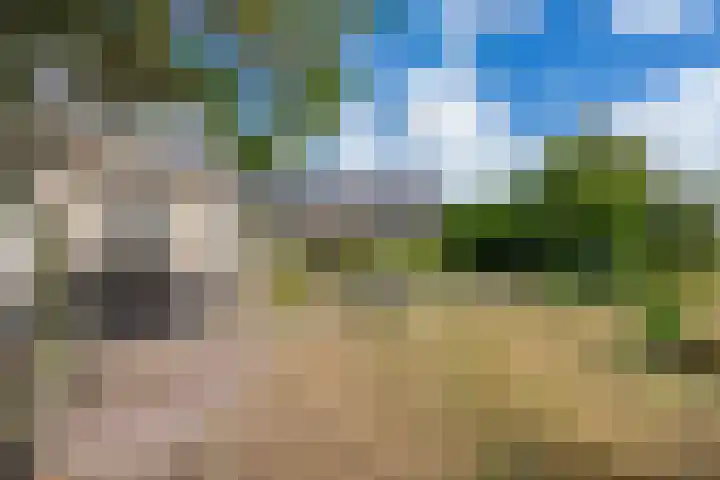 Geerstraat 1 Boven-Leeuwen thumbnail 106