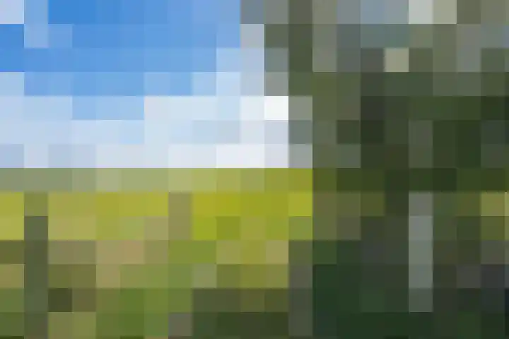 Geerstraat 1 Boven-Leeuwen thumbnail 127