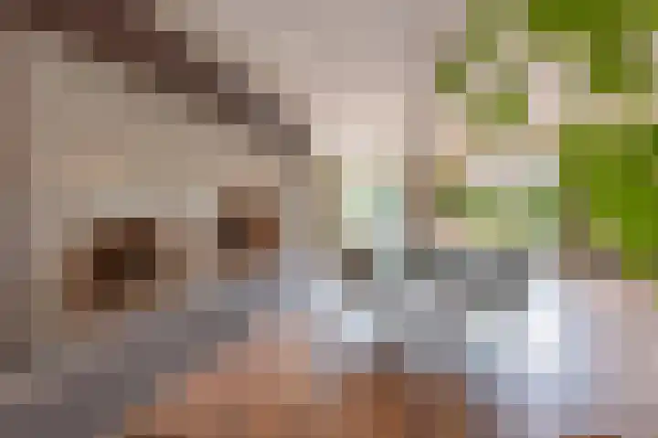 Geerstraat 1 Boven-Leeuwen thumbnail 23