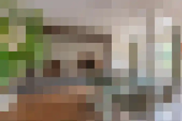 Geerstraat 1 Boven-Leeuwen thumbnail 24