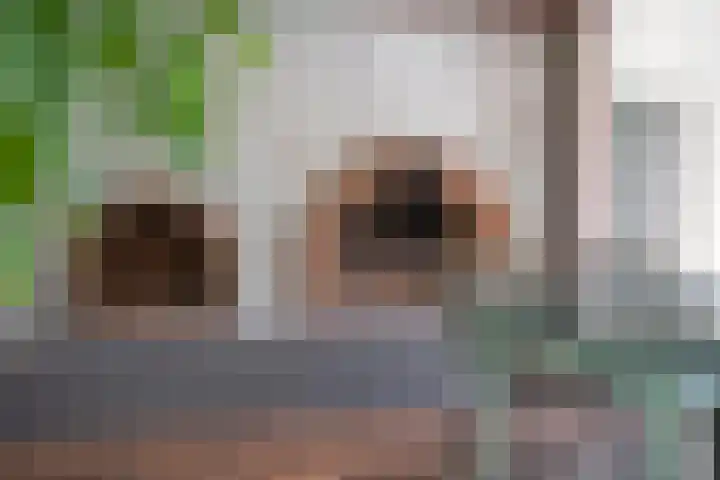 Geerstraat 1 Boven-Leeuwen thumbnail 25