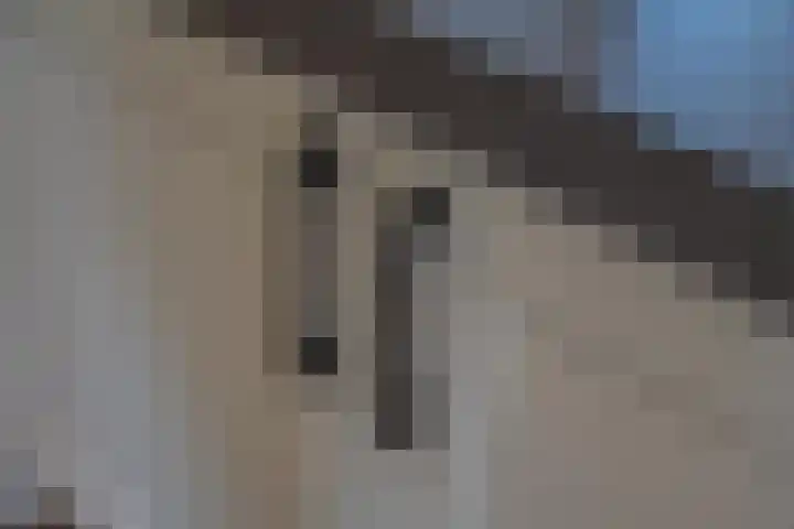 Geerstraat 1 Boven-Leeuwen thumbnail 30
