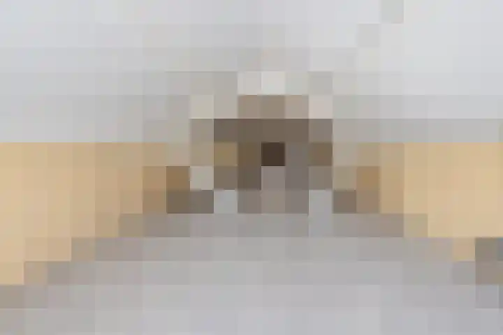 Geerstraat 1 Boven-Leeuwen thumbnail 56