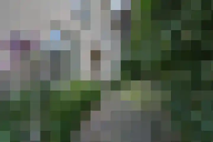Geerstraat 1 Boven-Leeuwen thumbnail 7