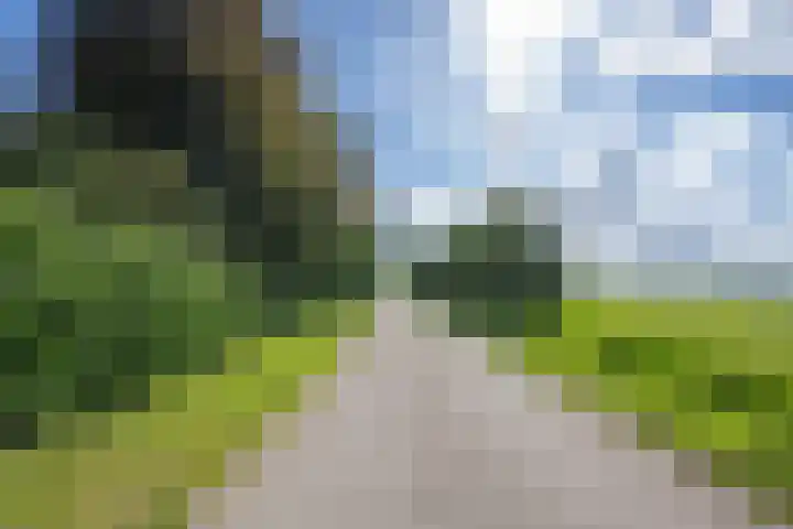 Geerstraat 1 Boven-Leeuwen thumbnail 83