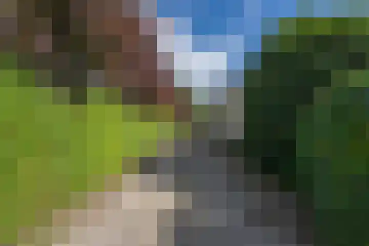 Geerstraat 1 Boven-Leeuwen thumbnail 84