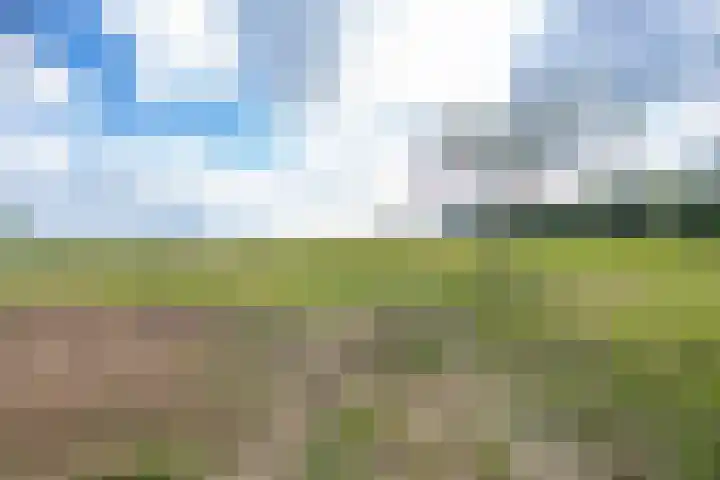 Geerstraat 1 Boven-Leeuwen thumbnail 95