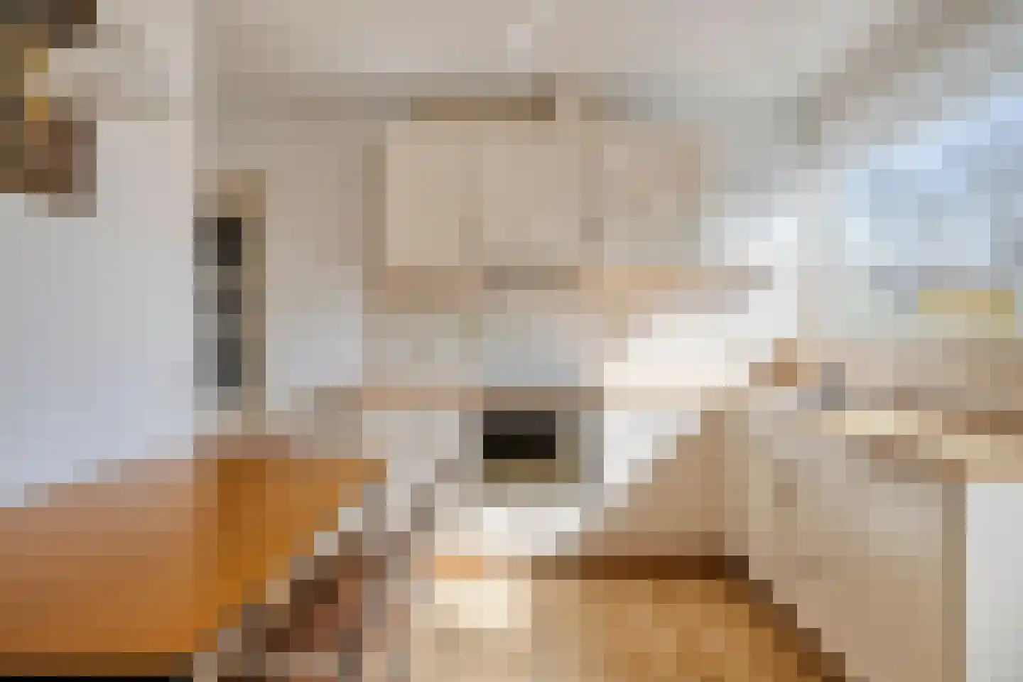 Geerstraat 14 Bergeijk thumbnail 14