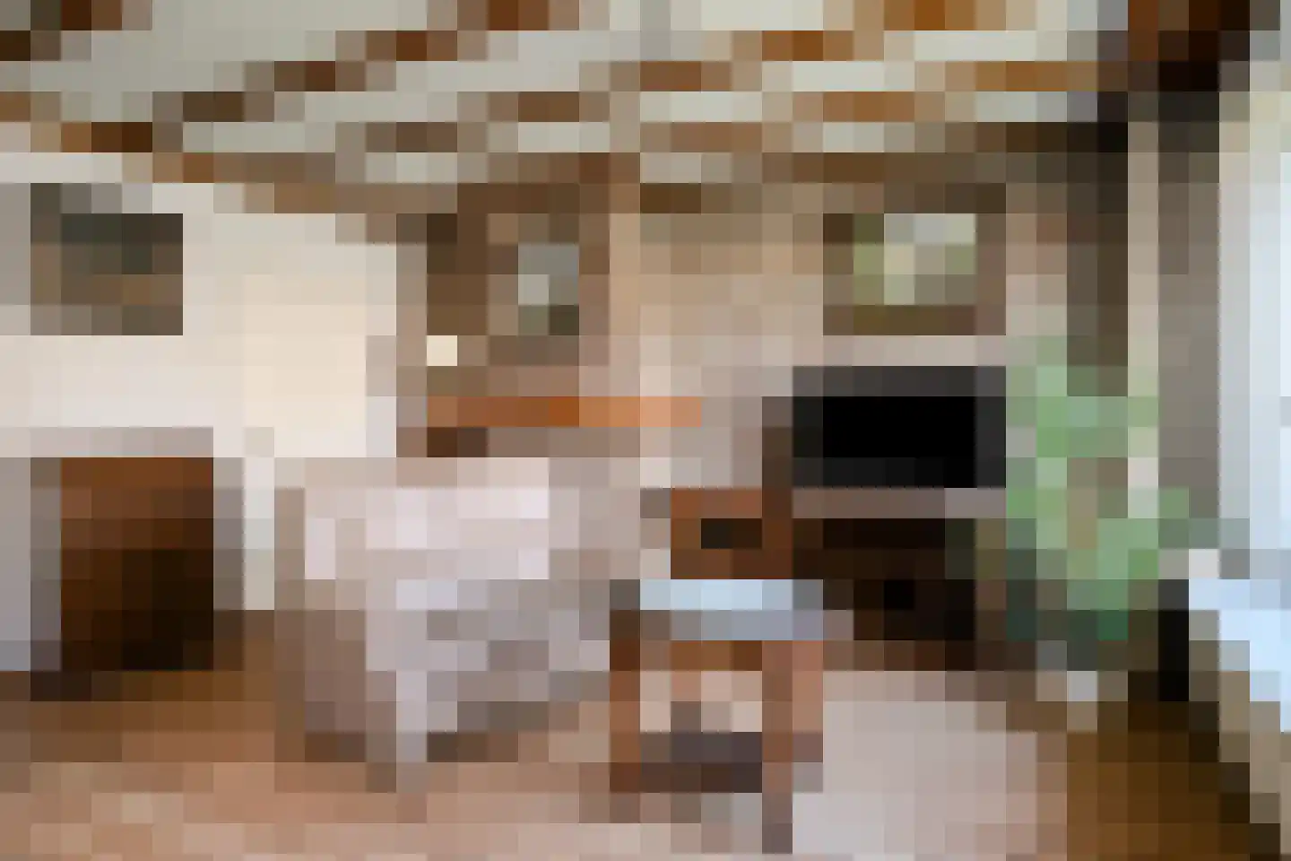 Geerstraat 14 Bergeijk thumbnail 6
