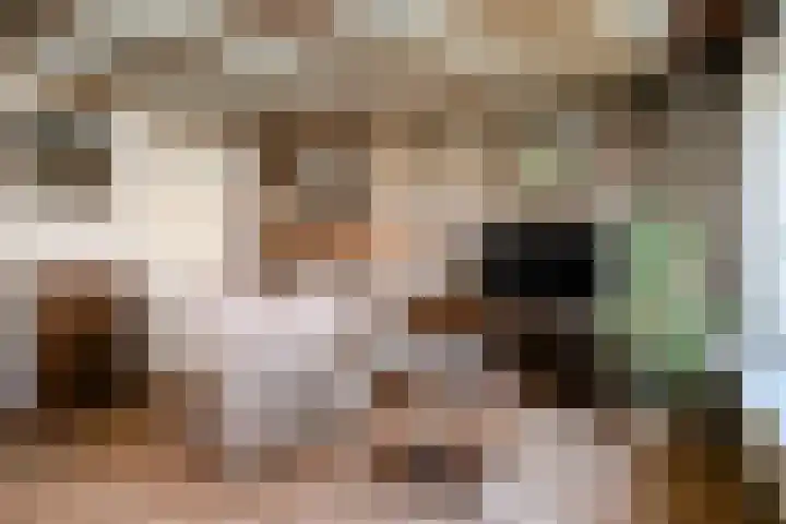 Geerstraat 14 Bergeijk thumbnail 6