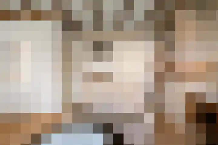 Geerstraat 14 Bergeijk thumbnail 7