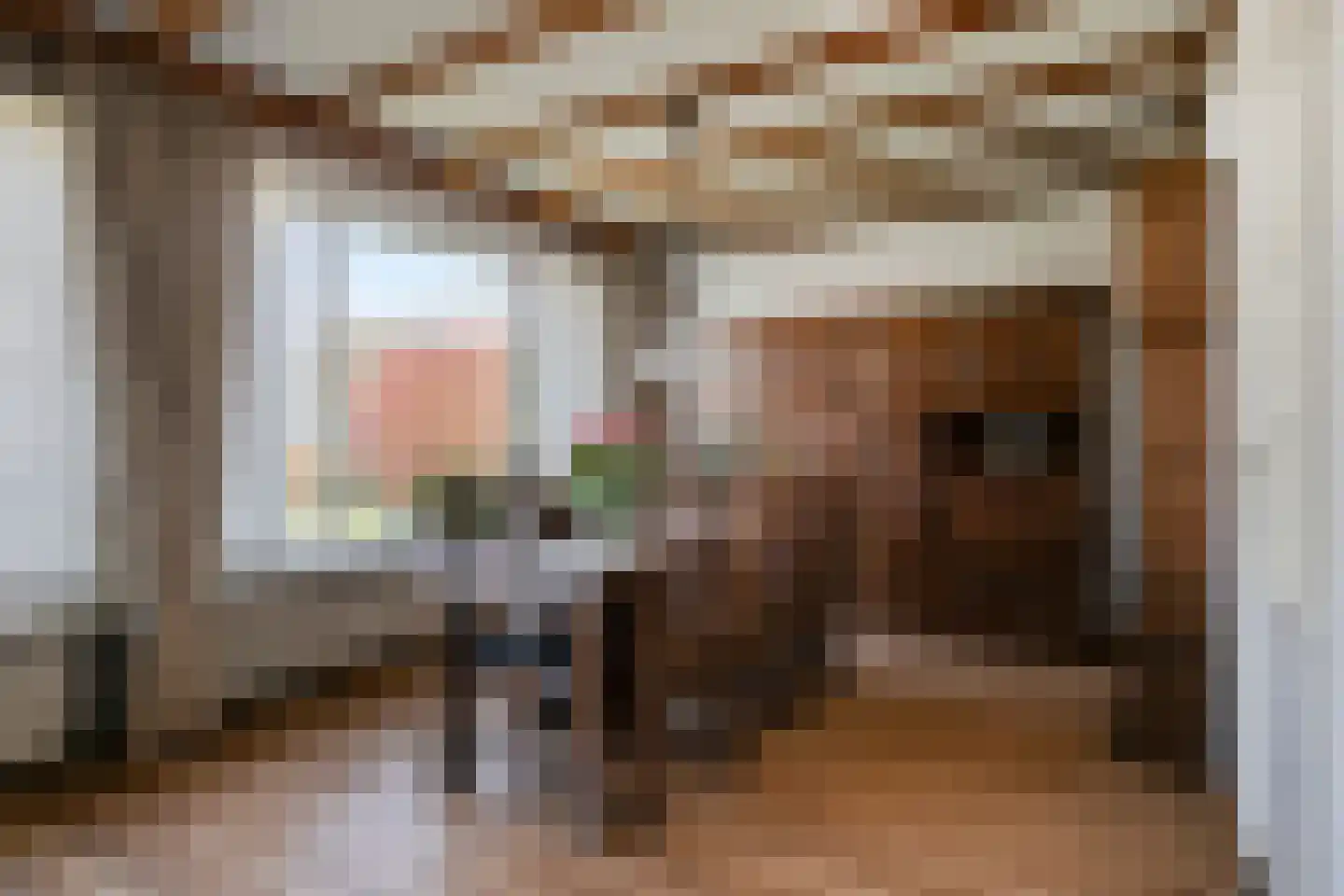 Geerstraat 14 Bergeijk thumbnail 8
