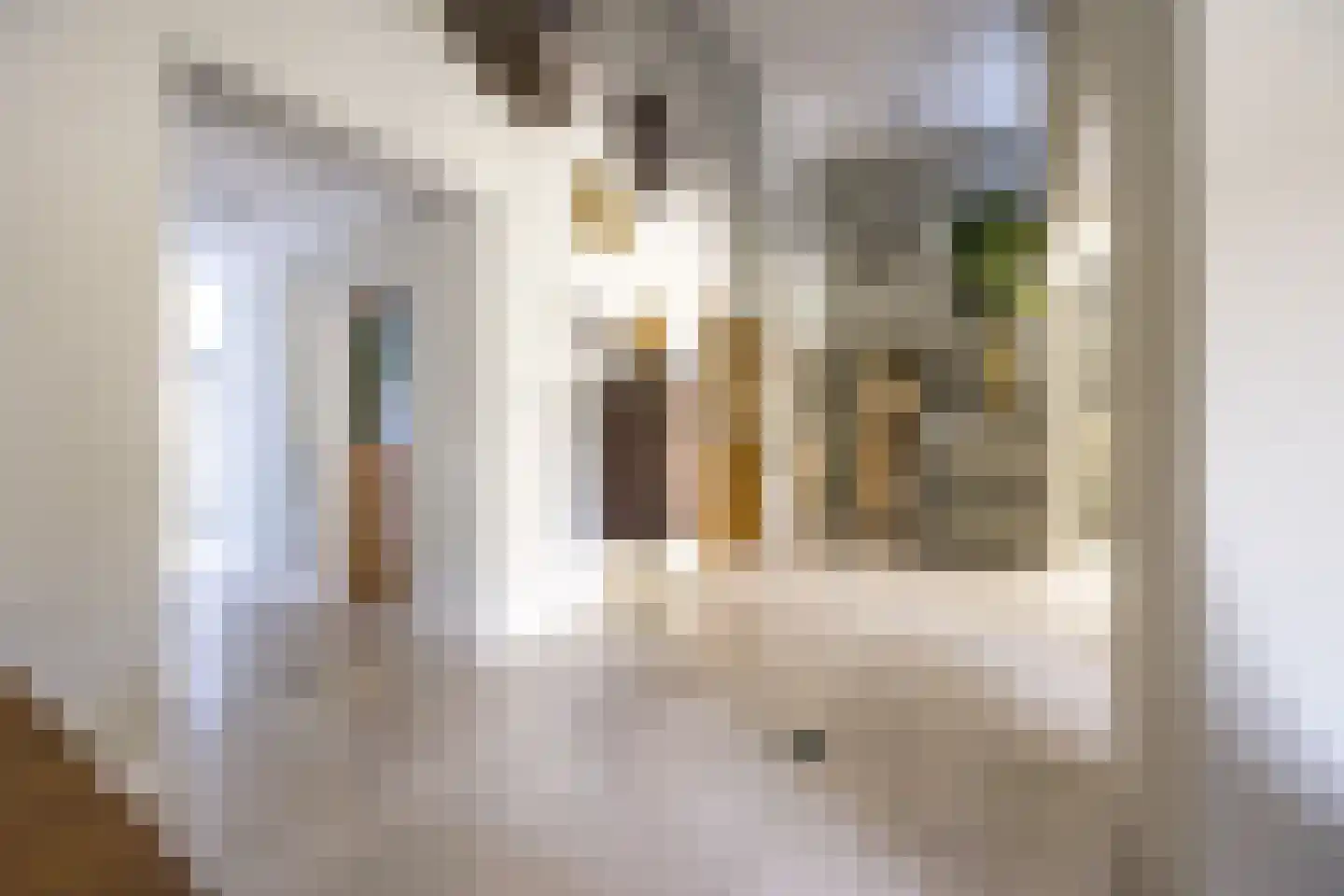 Geerstraat 2 Druten thumbnail 10