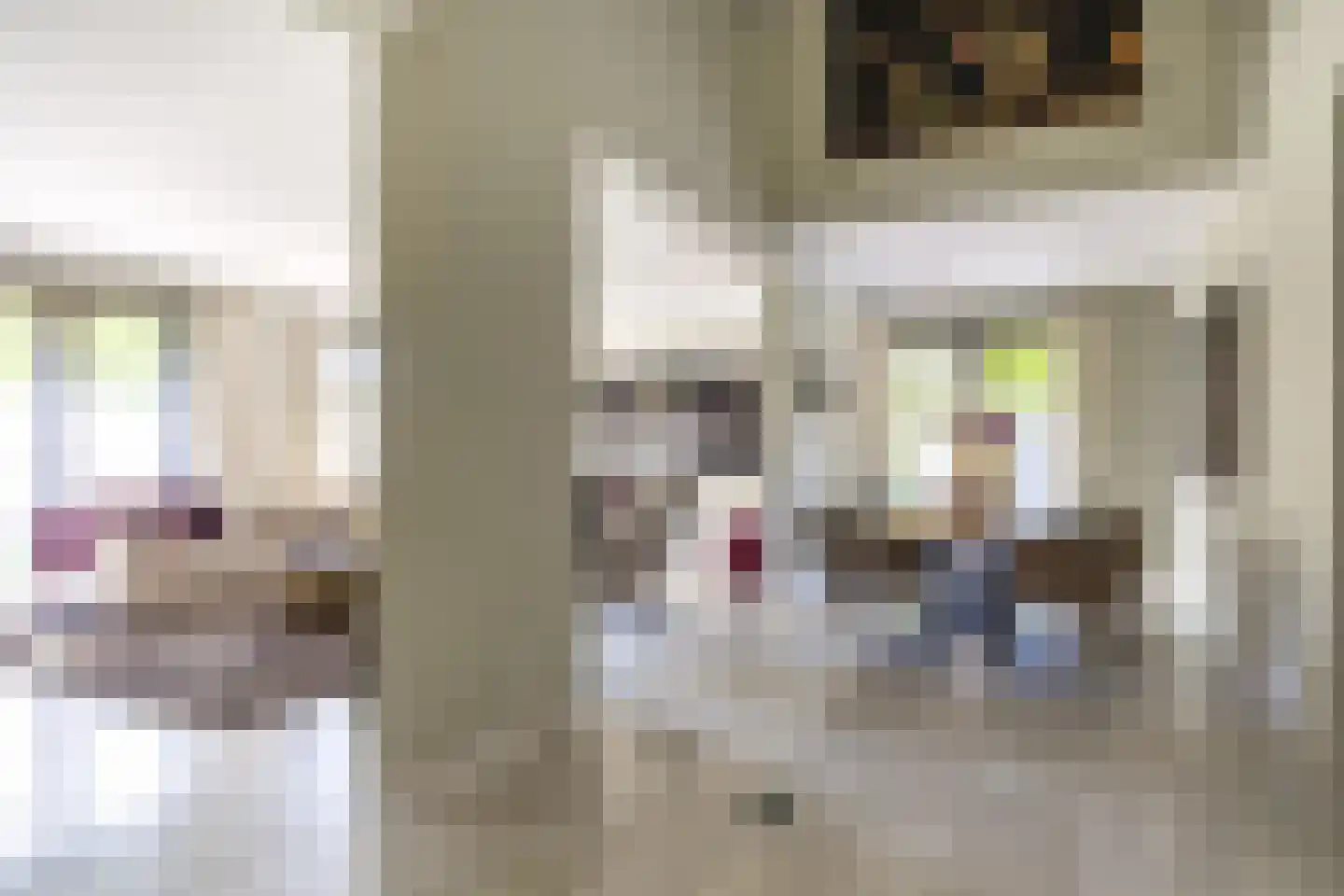 Geerstraat 2 Druten thumbnail 12