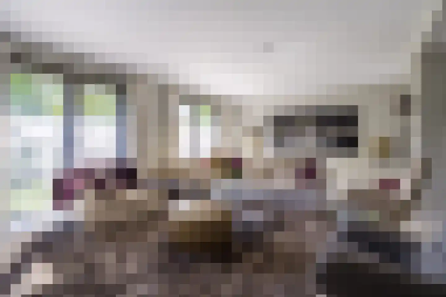 Geerstraat 2 Druten thumbnail 13