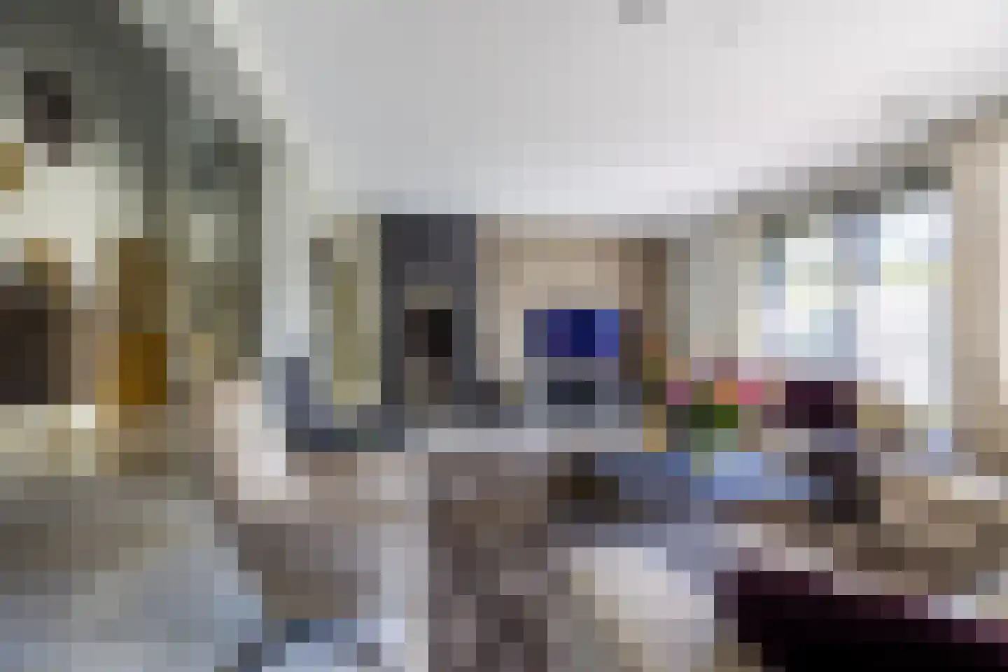 Geerstraat 2 Druten thumbnail 14
