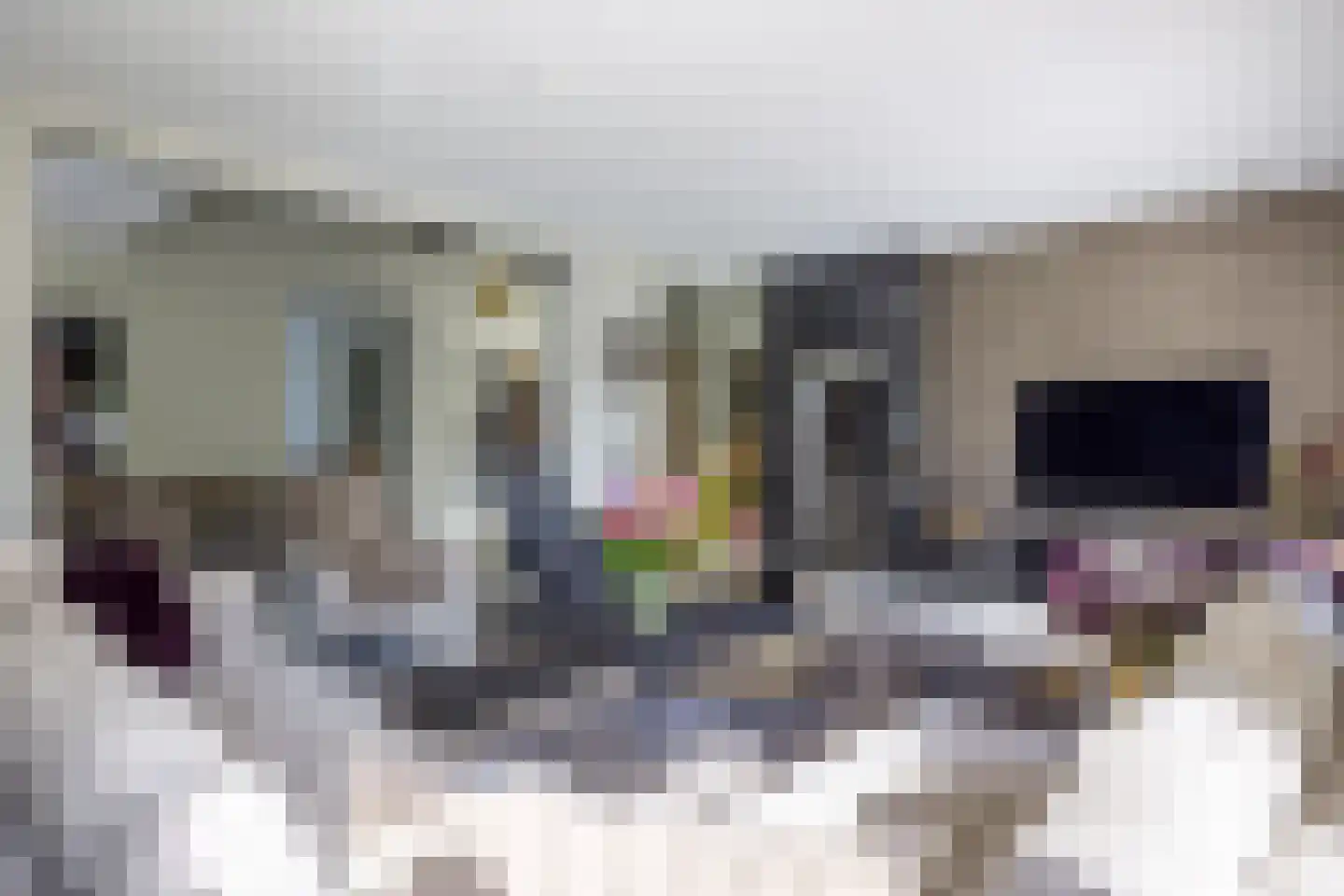 Geerstraat 2 Druten thumbnail 16