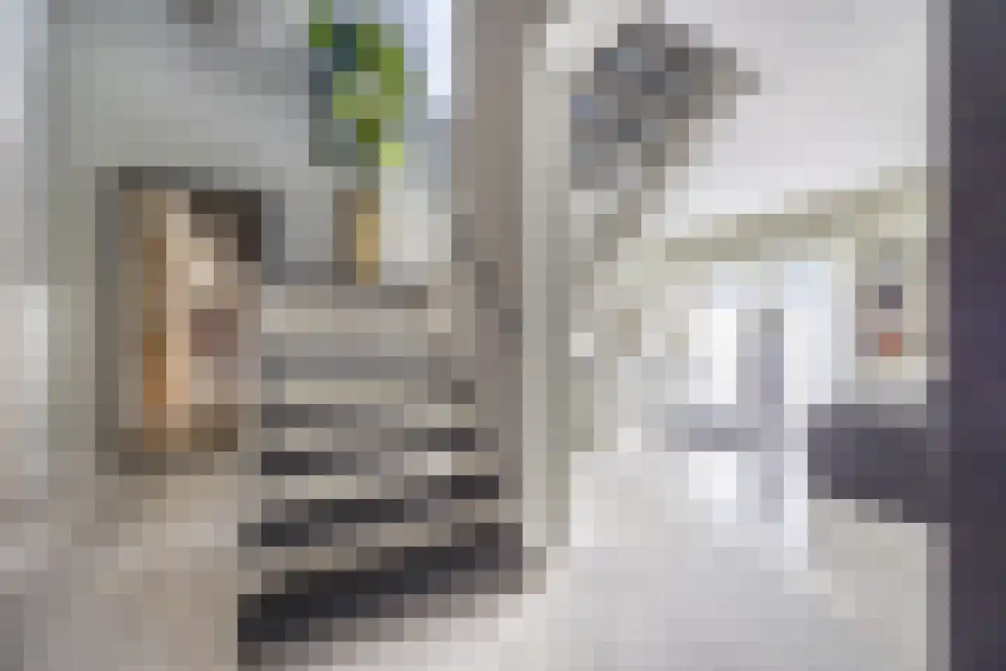 Geerstraat 2 Druten thumbnail 18