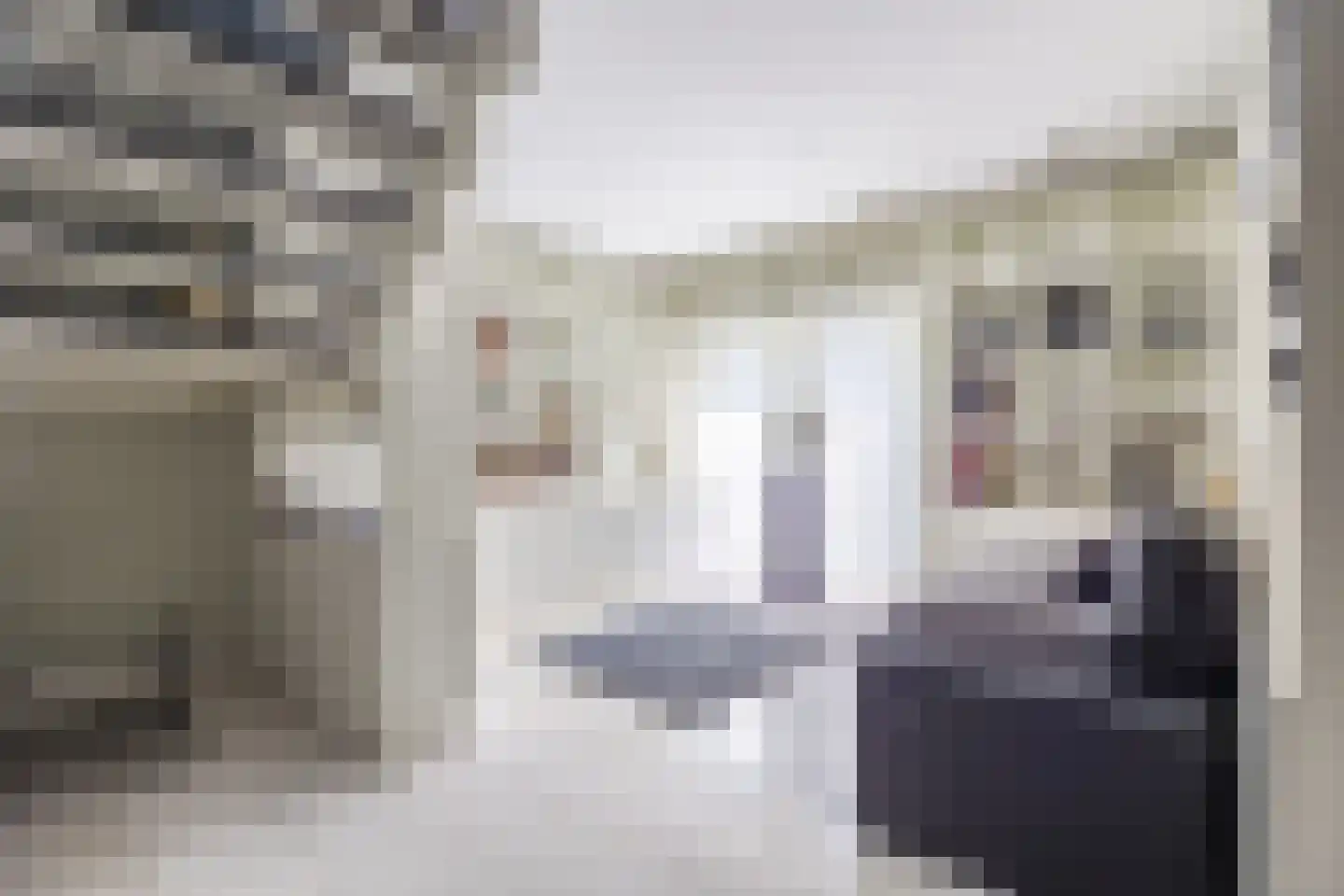 Geerstraat 2 Druten thumbnail 19