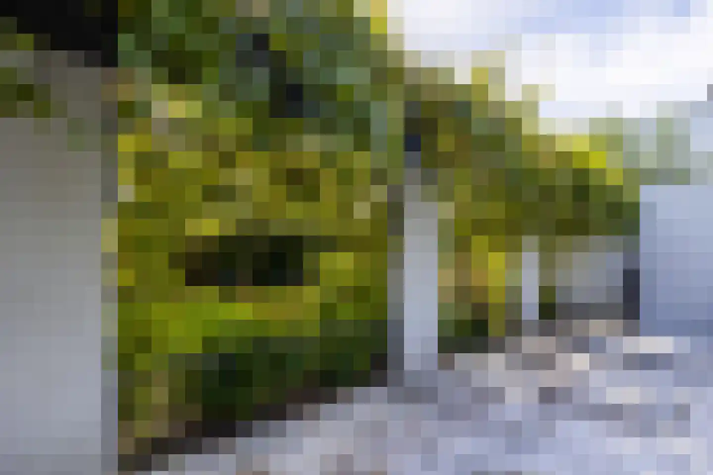 Geerstraat 2 Druten thumbnail 25