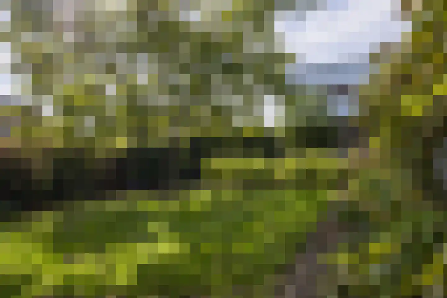Geerstraat 2 Druten thumbnail 27