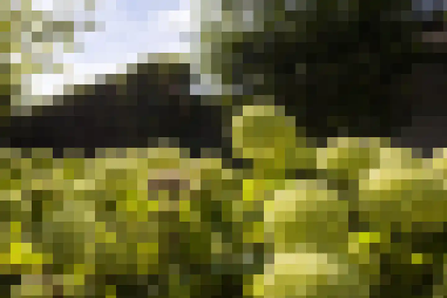 Geerstraat 2 Druten thumbnail 28