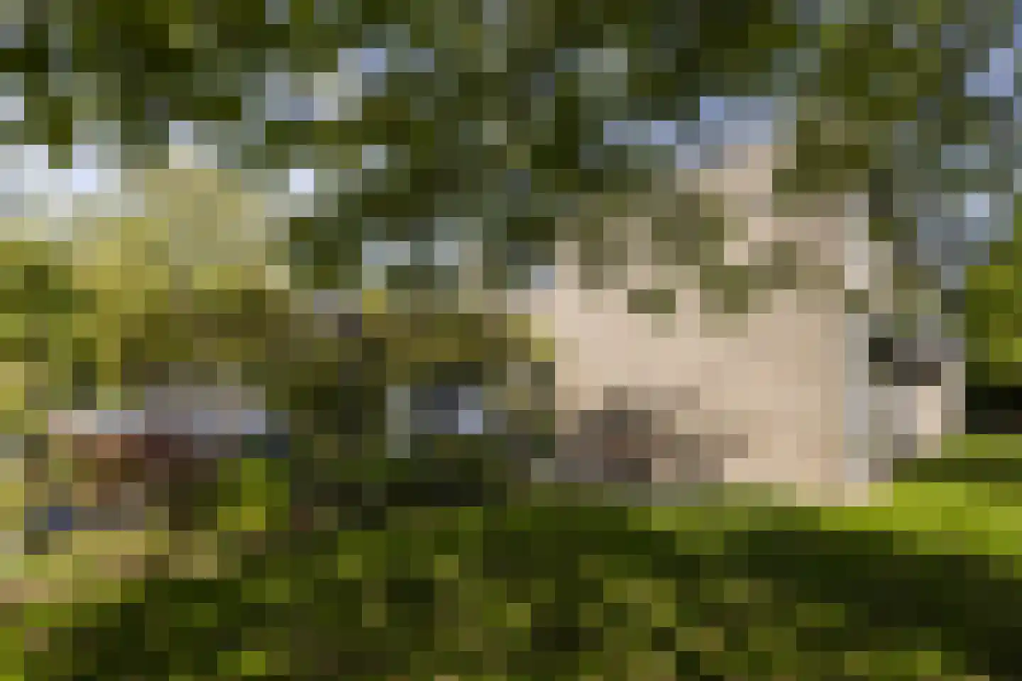 Geerstraat 2 Druten thumbnail 29