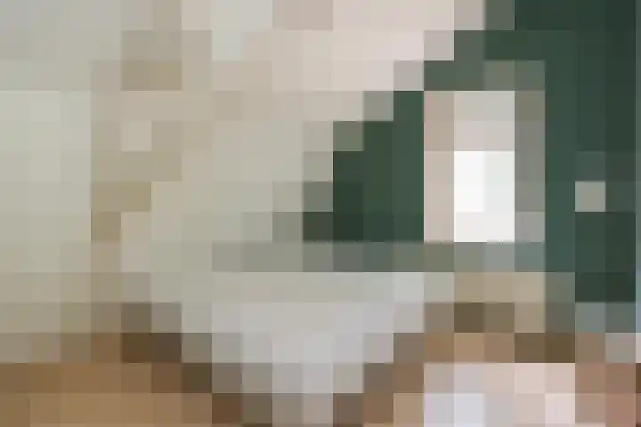 Geerstraat 2 Herwijnen thumbnail 33