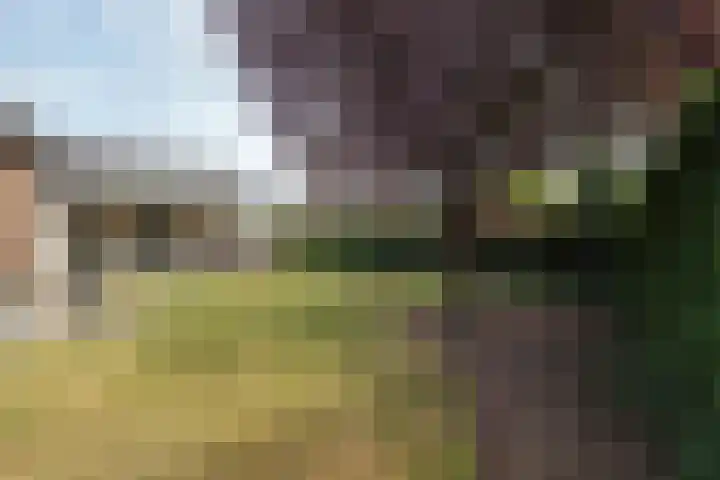 Geerstraat 2 Herwijnen thumbnail 40