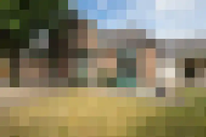 Geerstraat 2 Herwijnen thumbnail 41