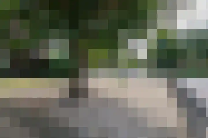 Geerstraat 2 Herwijnen thumbnail 43
